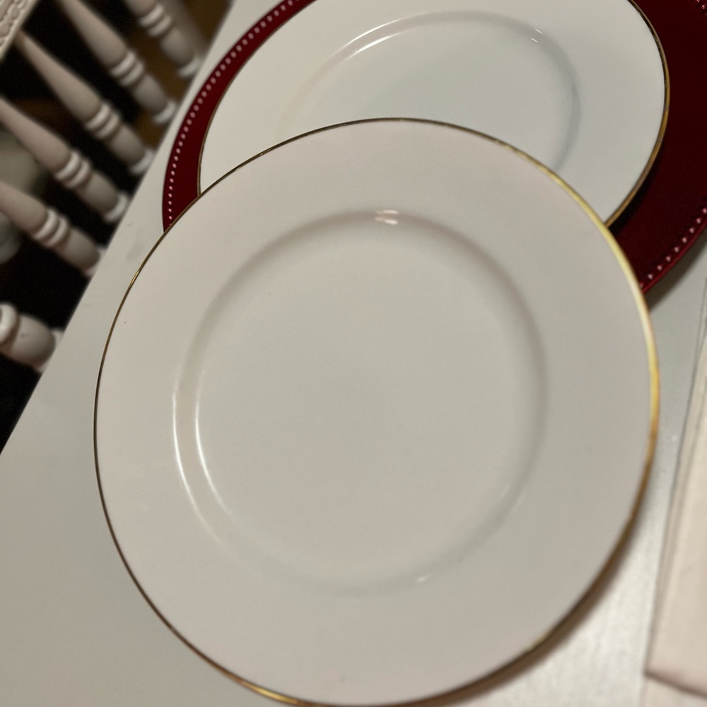 2 Pier 1 dinner plates white with gold rim